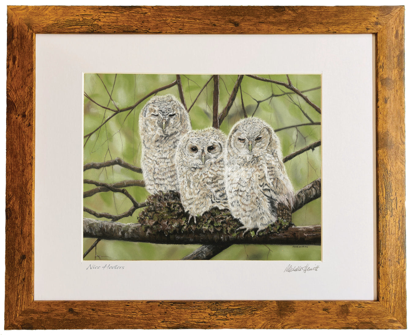 Print of Original pastel 'Nice Hooters'
