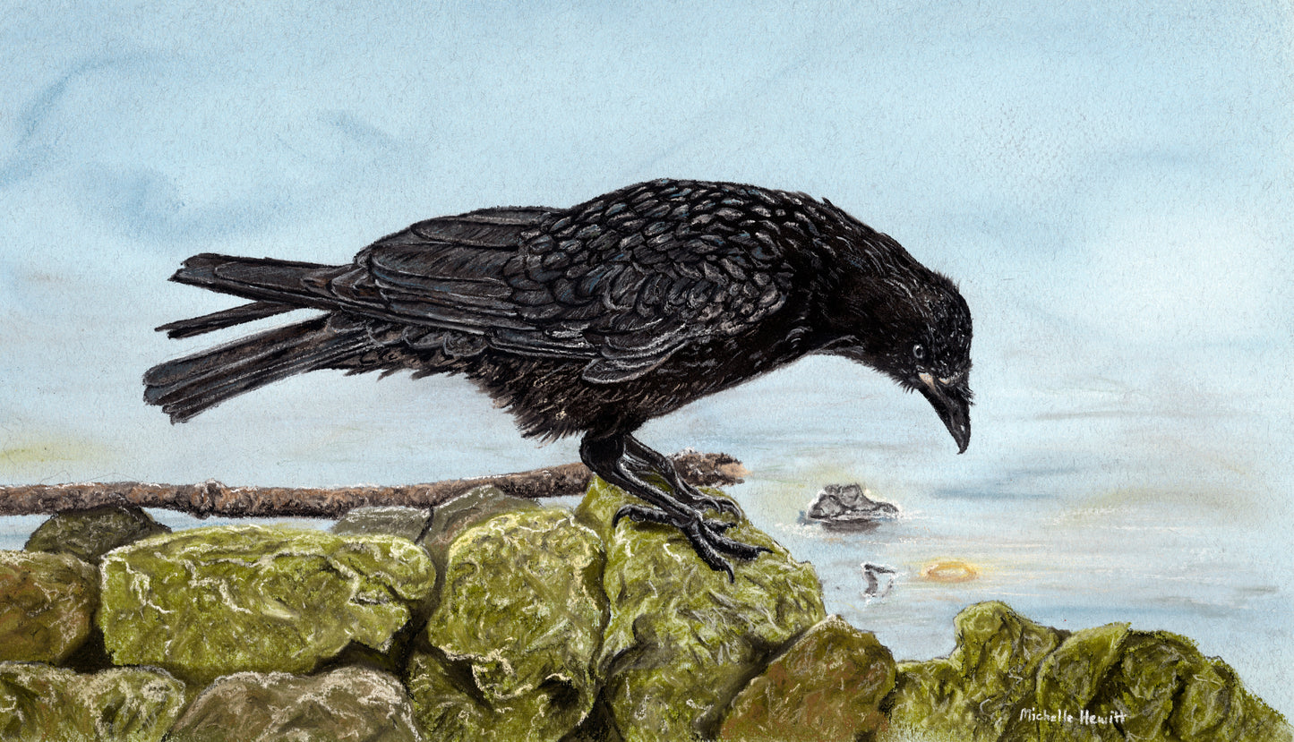 Print of Original pastel 'Sunken Treasure'