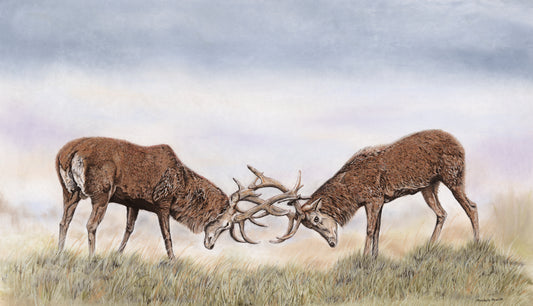 Print of Original pastel 'Rutting Stags'