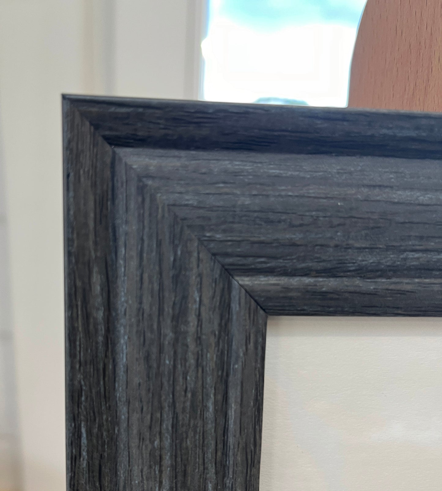 We are not aMOOsed -SOLD