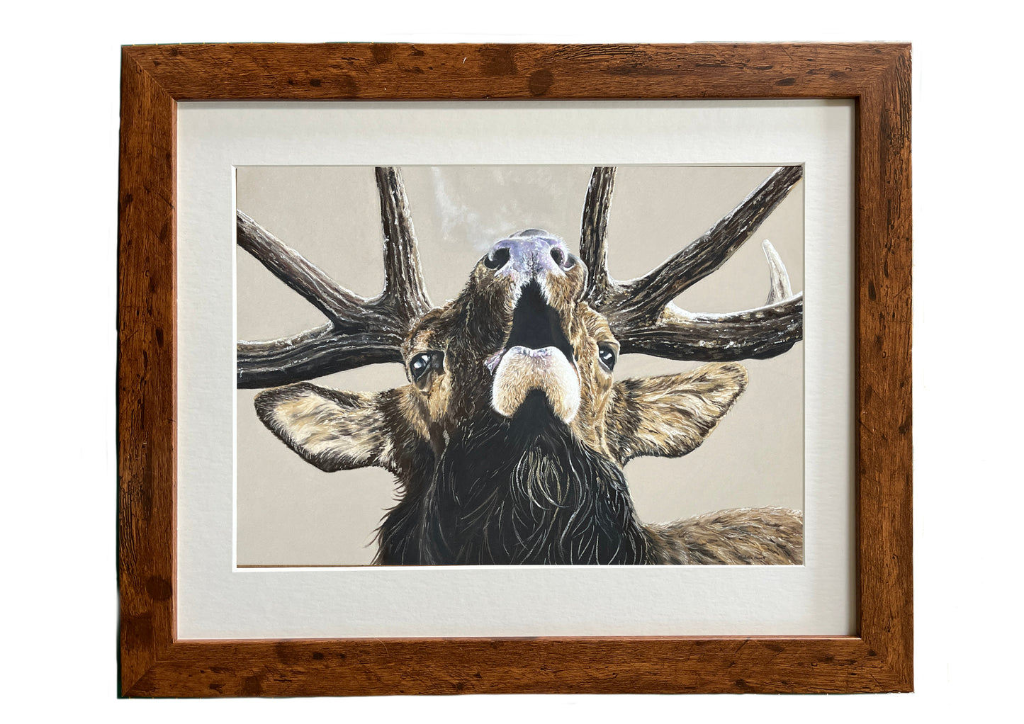 Original Pastel Artwork "Bellow"