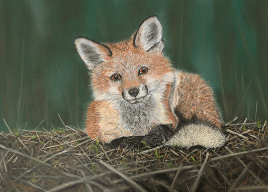 Print of Original Pastel Artwork 'Innocence'