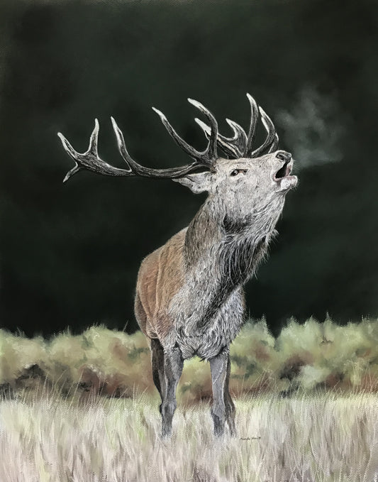 Print of Original pastel 'Monarch's Call'