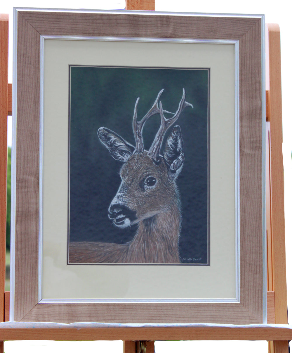 Original Pastel Artwork "Roe Buck"